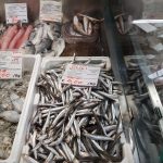 Fish at the Covered Market