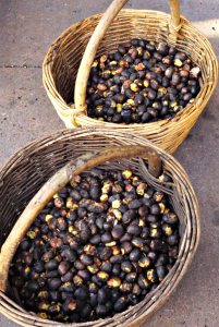 Chestnuts baskets