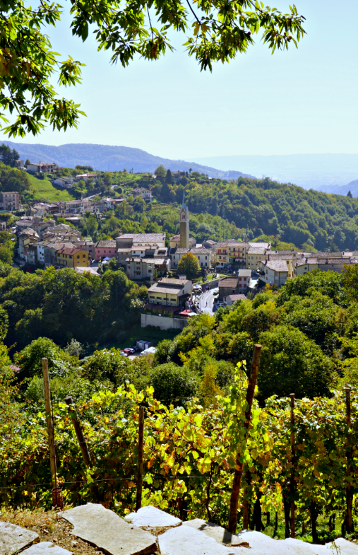 Combai view