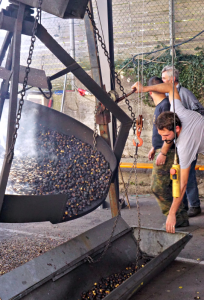 Giant roaster