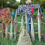 Scarecrows at Combai Chestnut Festival