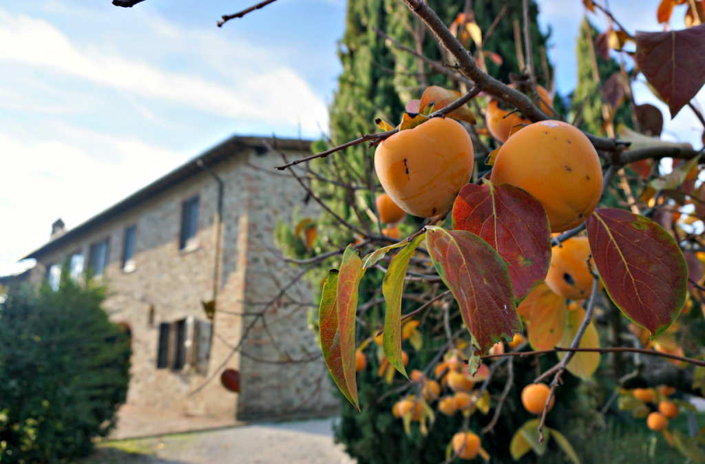 Casale Villa Chiara
