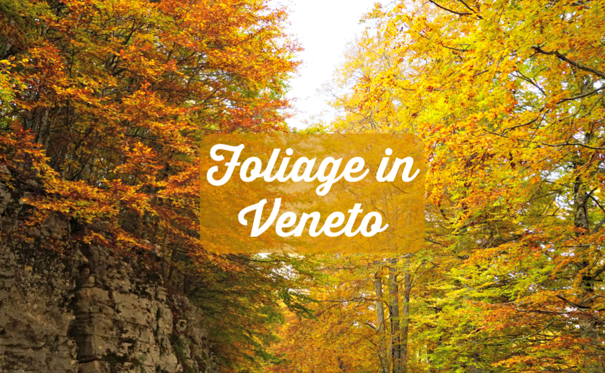 Foliage in Veneto