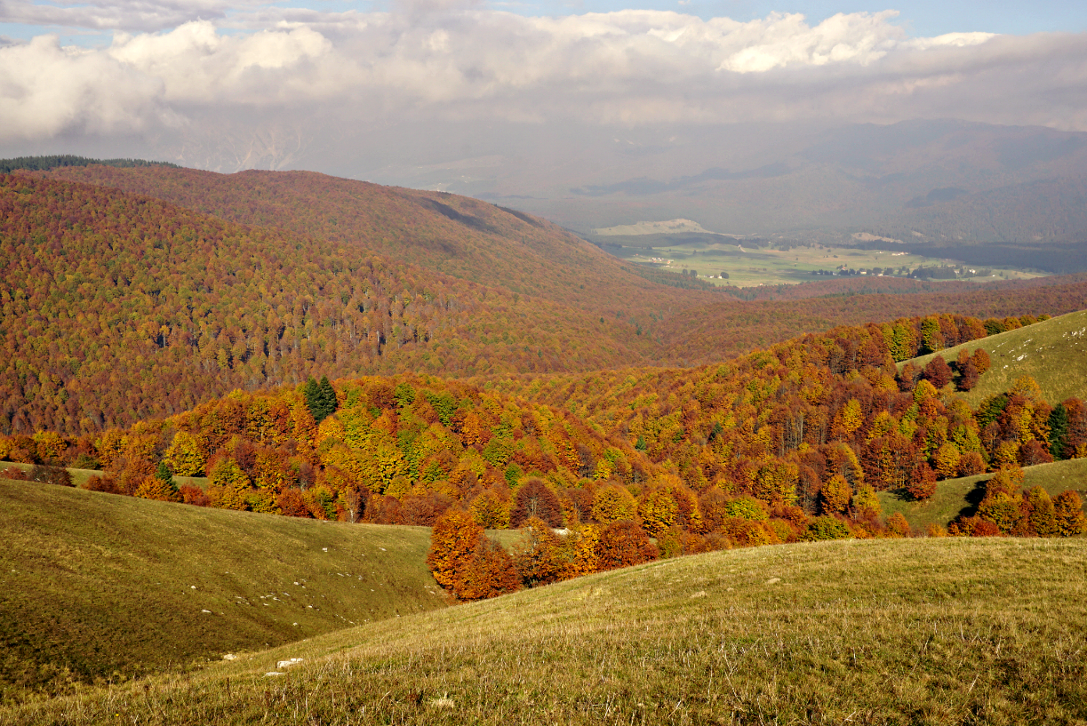 Foliage in Veneto