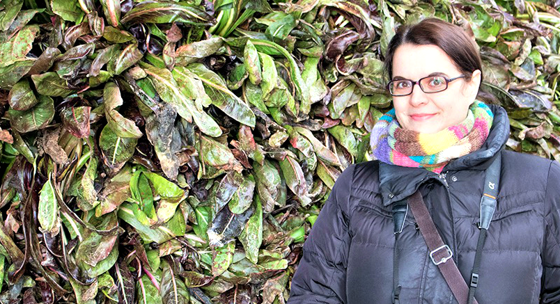 Radicchio di Treviso igp Me and Radicchio di Treviso igp, photo by ScattoperScatto
