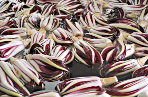 Radicchio washing phase
