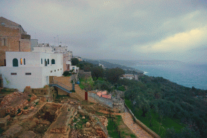 Castro and the sea