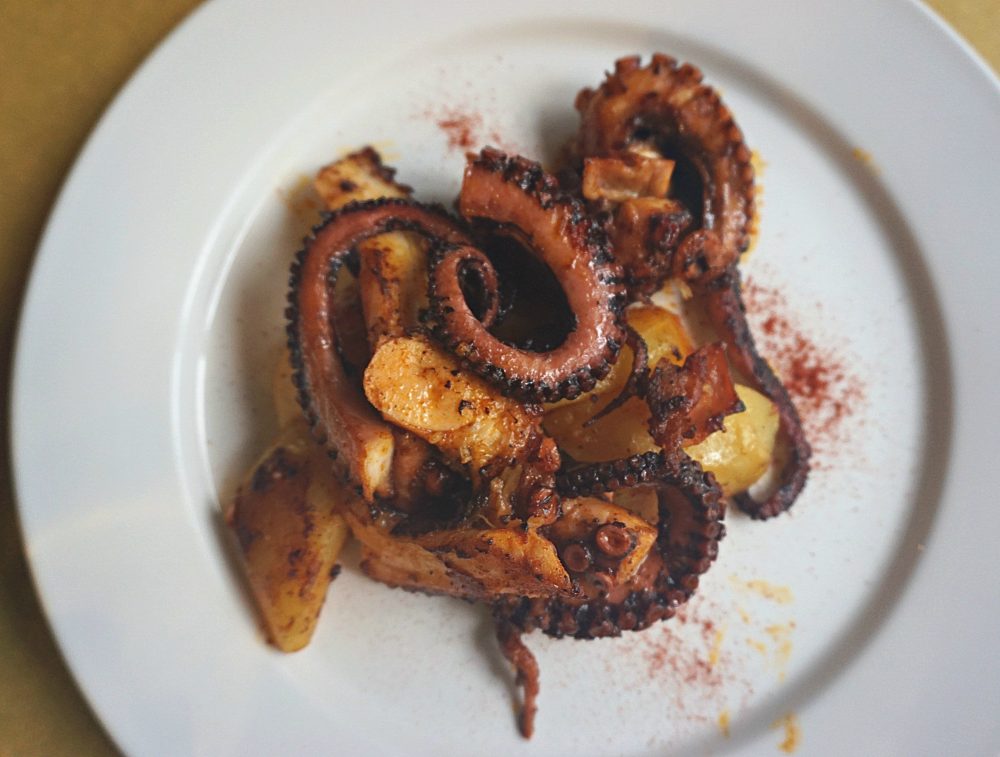 Octopus