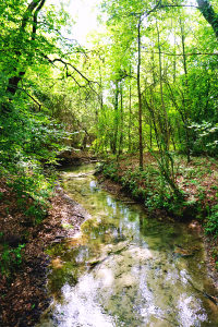 The river Sile
