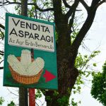 Asparagus for sale