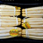 Asparagi di Badoere igp