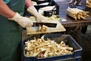 White asparagus