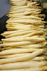 White asparagus