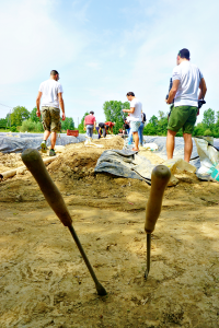 On the field of white asparagus