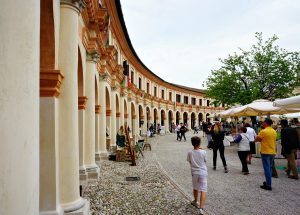 Asparagi di Badoere igp market