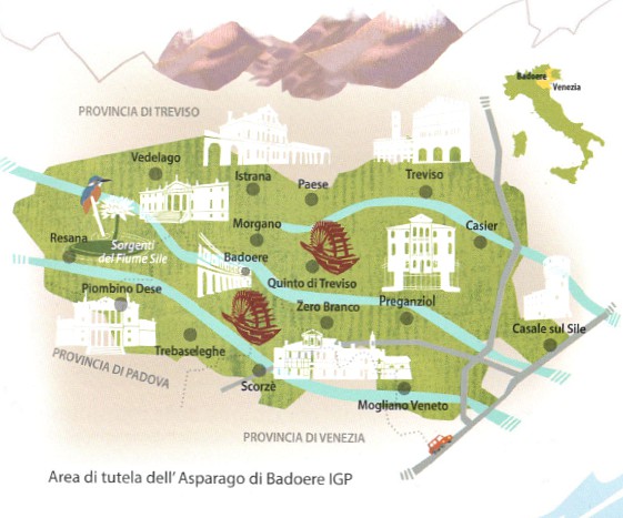 The area of Asparagi di Badoere igp
