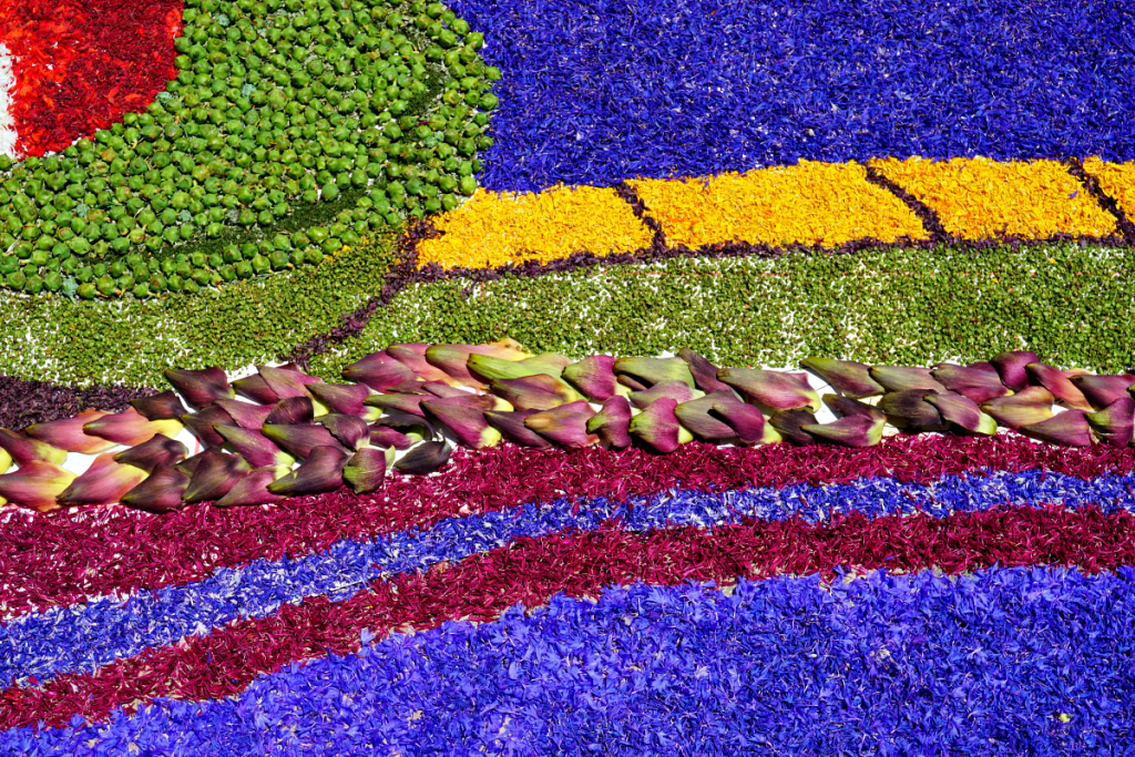 Petals