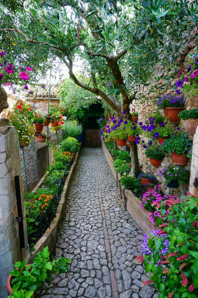 what to do in Spello