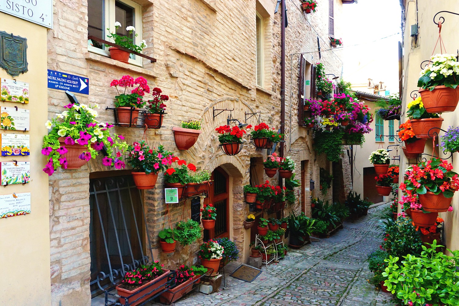 what to do in Spello