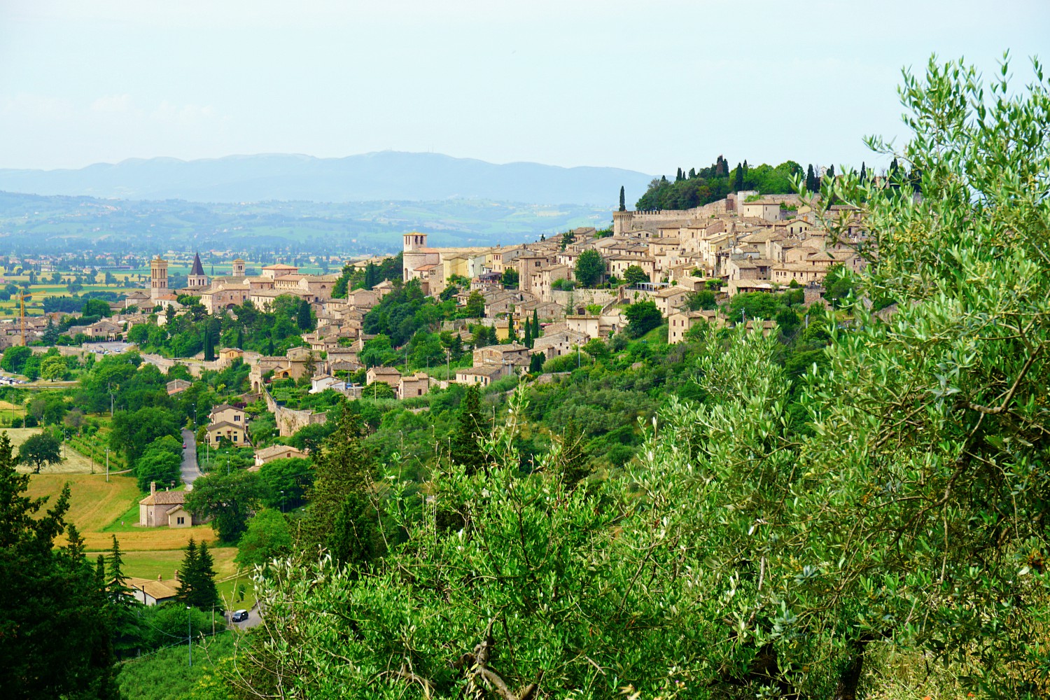 Spello