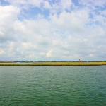 the beauty of the Lagoon