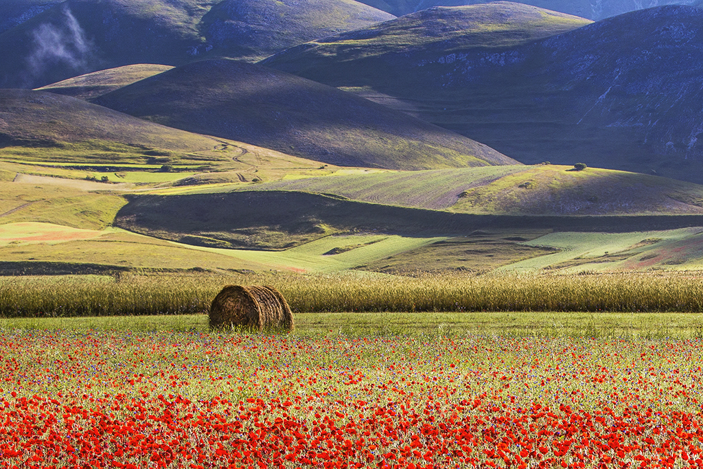 Castelluccio di Norcia. Photo by Filippo Chinello