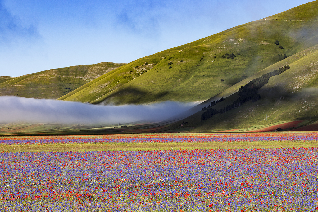 Castelluccio di Norcia. Photo by Filippo Chinello