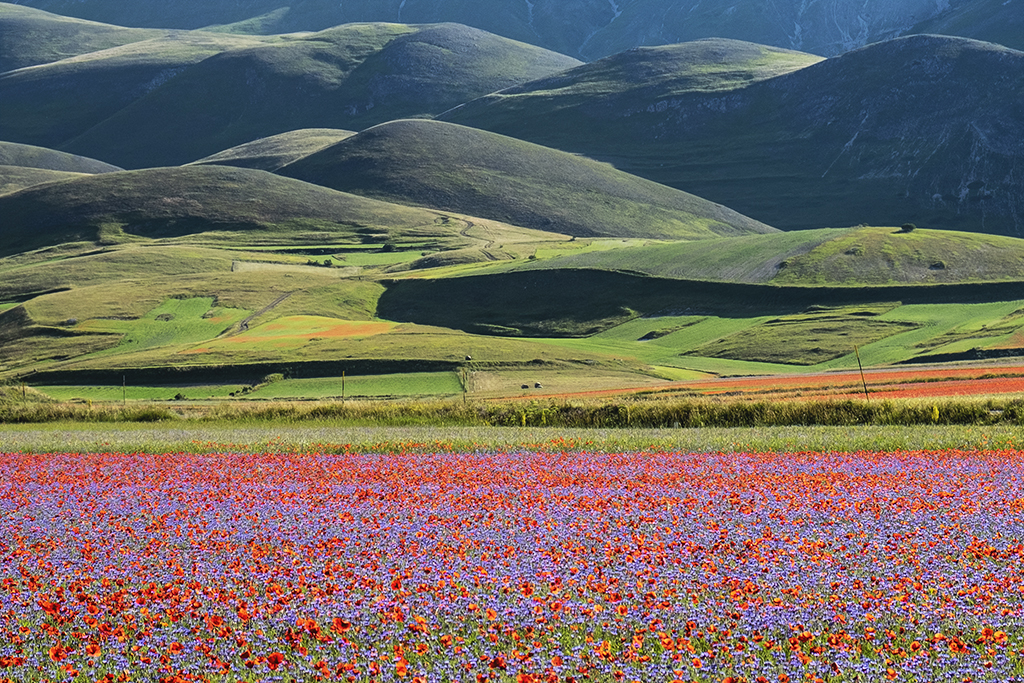 Castelluccio di Norcia. Photo by Filippo Chinello