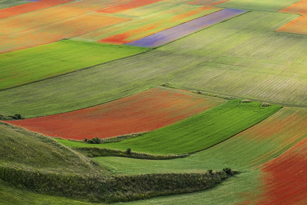 Castelluccio di Norcia. Photo by Filippo Chinello