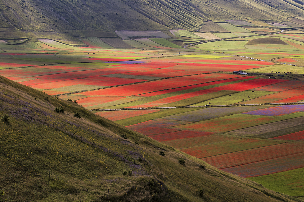 Castelluccio di Norcia. Photo by Filippo Chinello