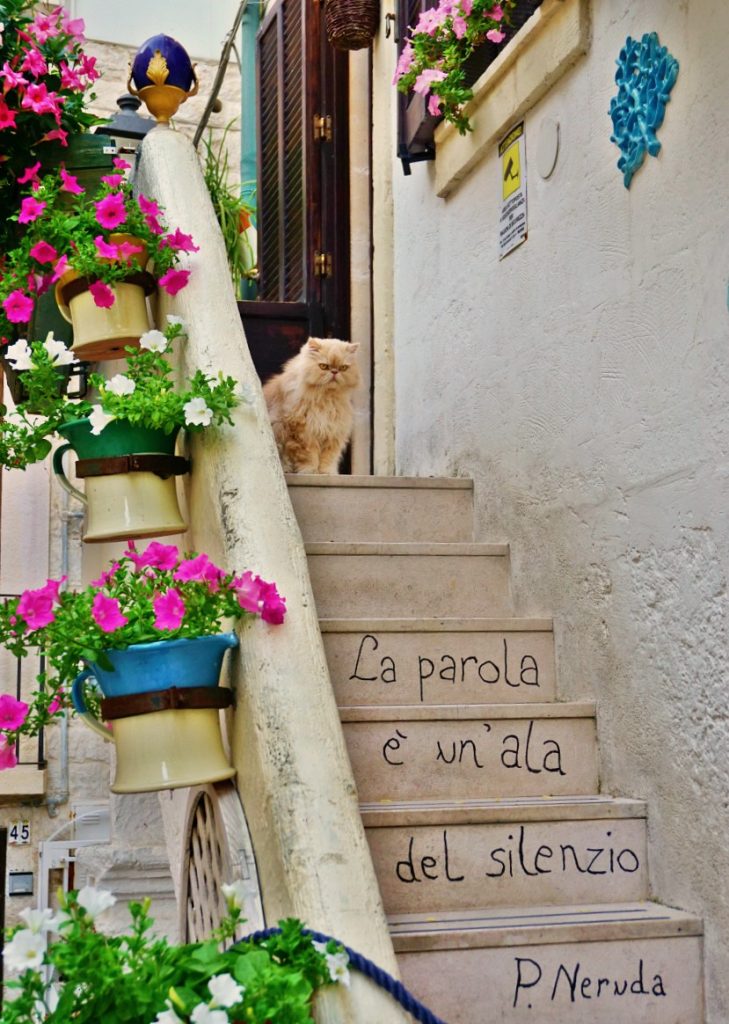 Top things to do in Polignano a Mare