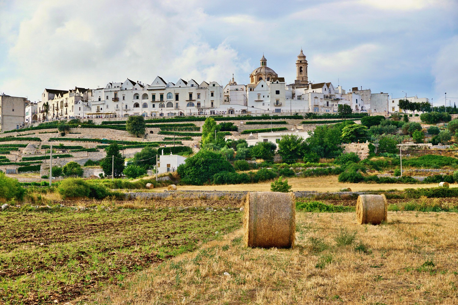 What to see in Locorotondo