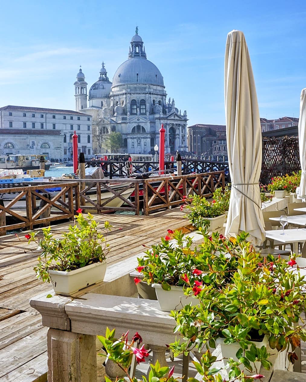 Salute festival in Venice