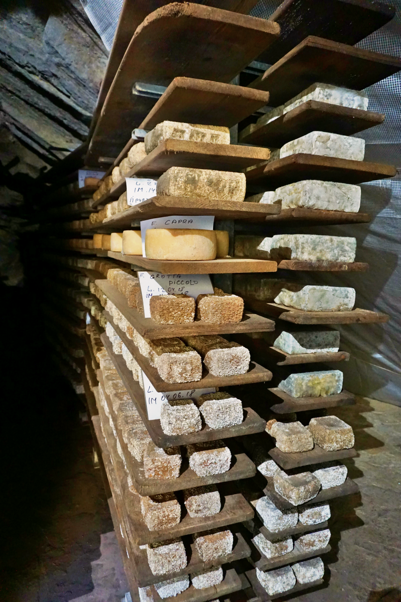 Cheese aging, <yoastmark class=