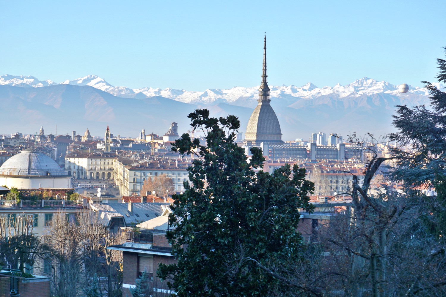 What to do in Turin?