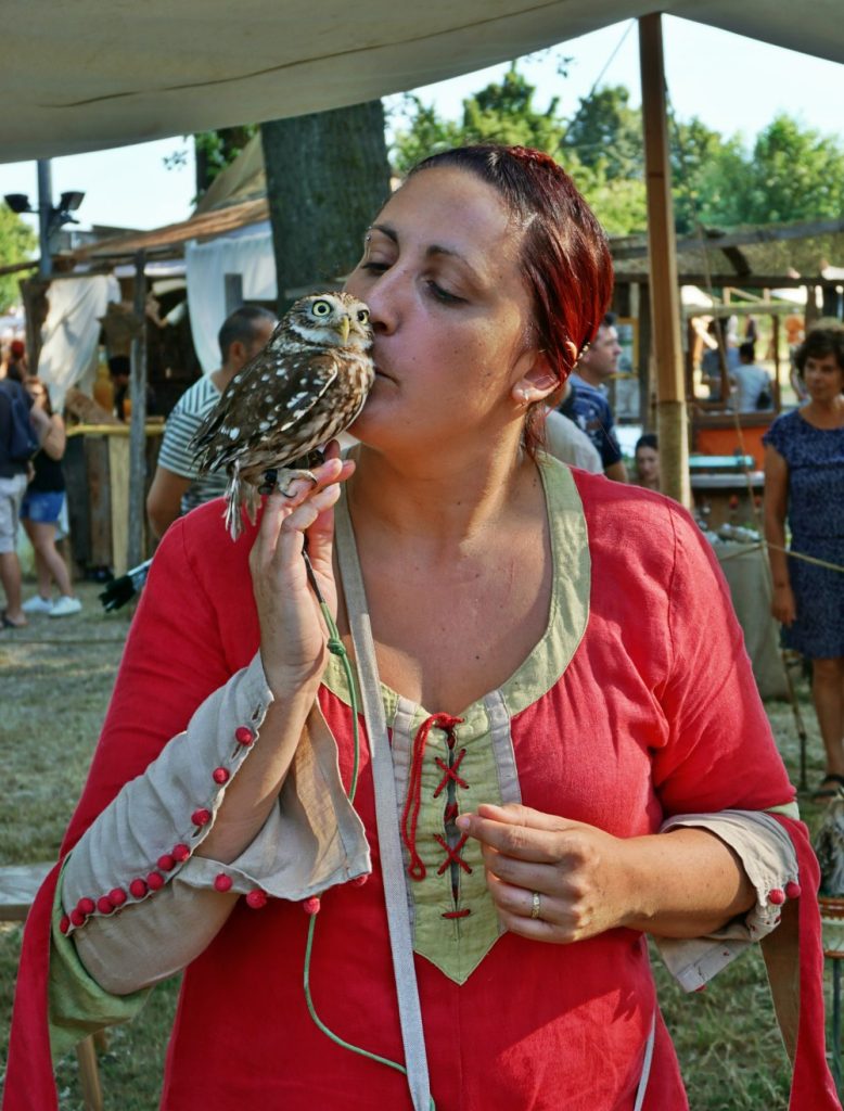 Palio dello Sparviero