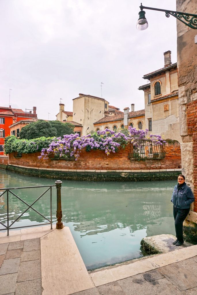 Wisteria in Venice, Ramo Arnaldi