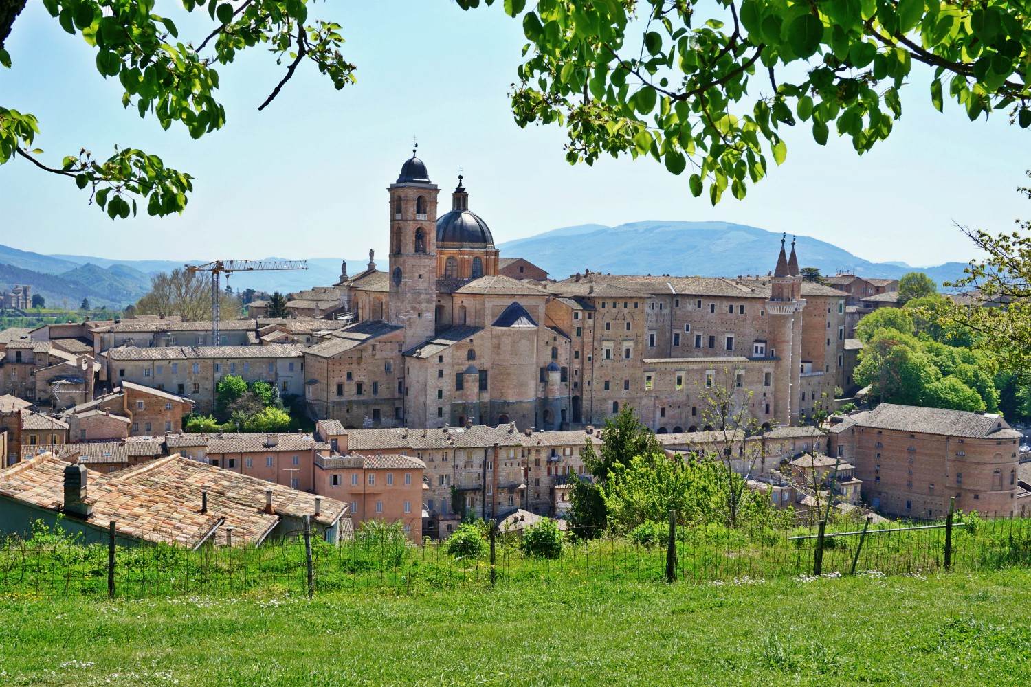What to see in Urbino