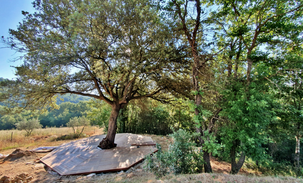 Yoga tree
