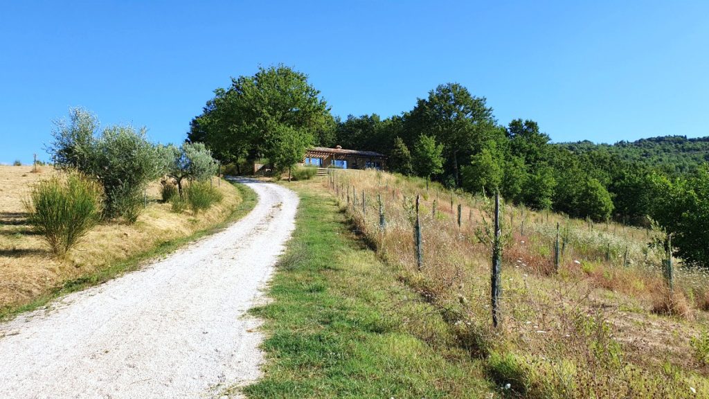 One of the guests annexes