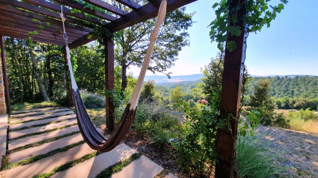 hammock with a view