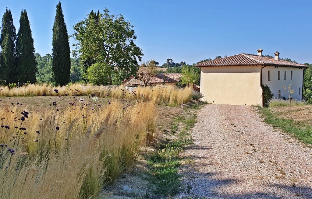 Podere Trafonti