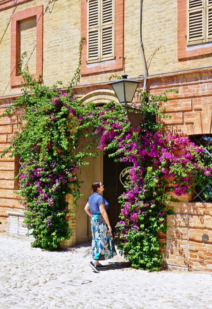 bouganville
