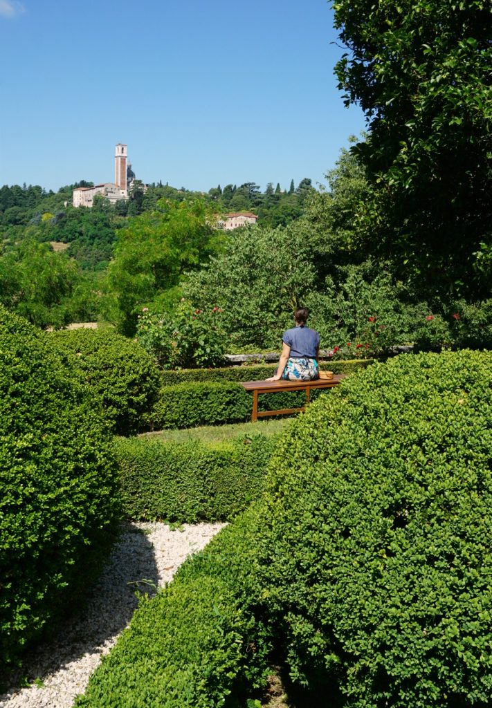The view over Monte Berico