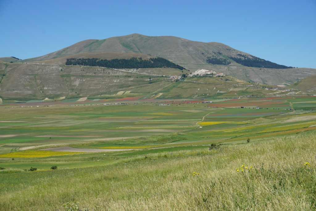 Castelluccio di Norcia