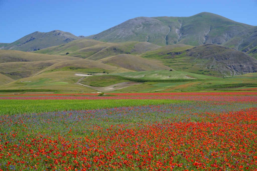 Castelluccio di Norcia
