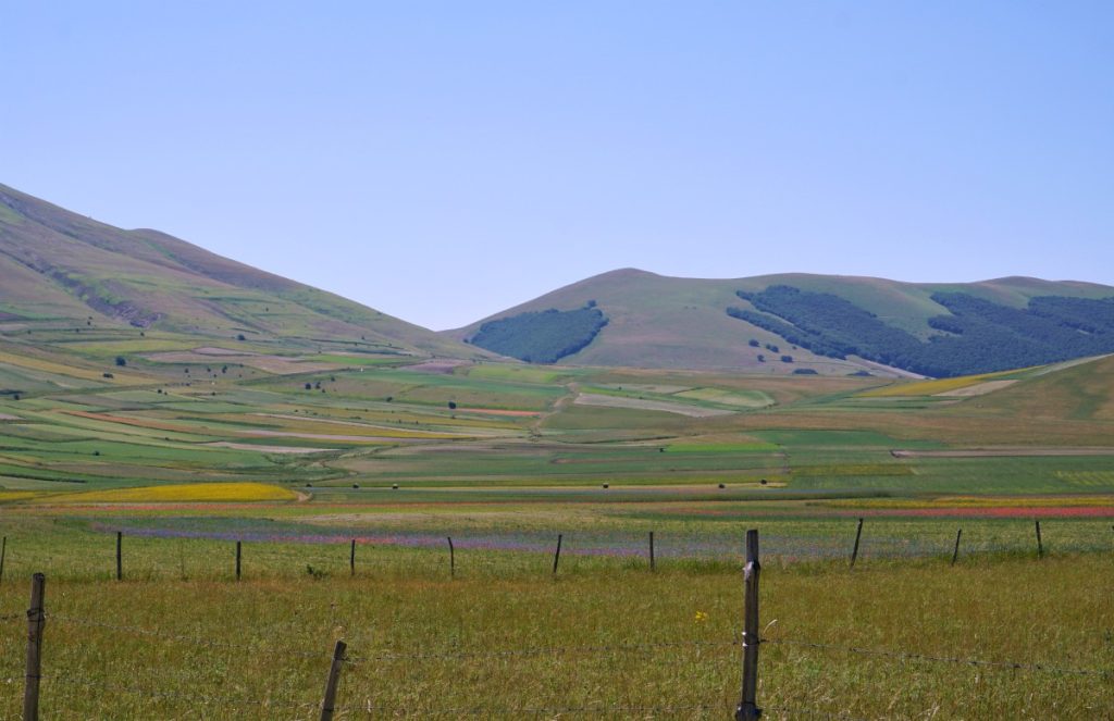 Castelluccio di Norcia