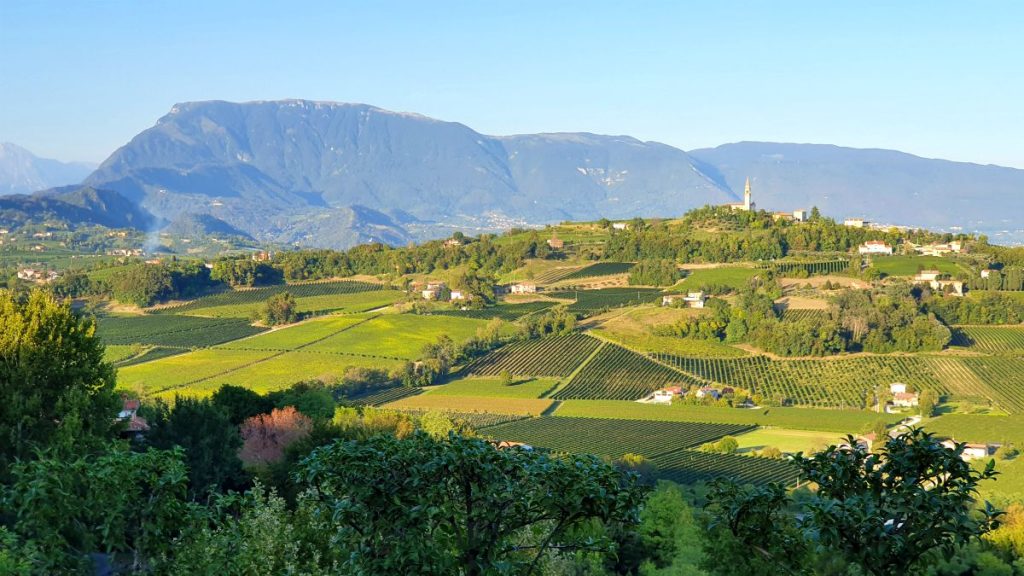 The view from Ca' del Poggio hotel, Prosecco road itinerary