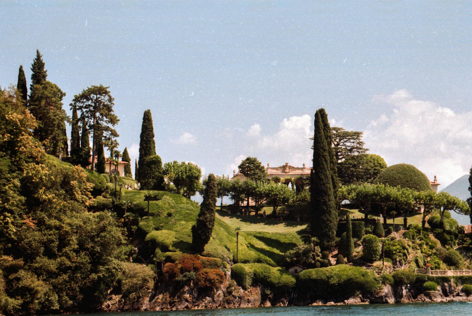 trees near lake